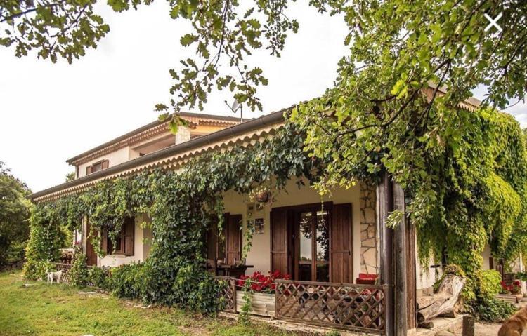 The Forest House Isernia Kültér fotó